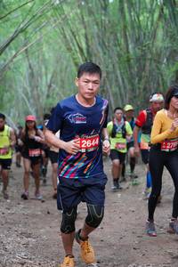 BIB: 2644, 276
                            <button type="button" onclick="openModal(4126543)" class="btn btn-primary btn-sm float-right btn-popup" data-toggle="modal" data-target=".modal-high-quality">
                        <i class="fas fa-shopping-cart"></i> Add to Cart
                    </button>
                                            <button type="button" onclick="isThisMe(4126543, true)" class="btn btn-success btn-sm float-right btn-popup btn-isme hidden" data-toggle="tooltip" data-placement="bottom" title="นี่คือรูปของคุณใช่ไหม คลิกที่นี่เพื่อเอาเข้าอัลบั้ม">
                        <i class="fas fa-plus"></i> Add to album
                    </button>
                    <button type="button" onclick="isThisMe(4126543, false)" class="btn btn-warning btn-sm float-right btn-popup btn-isnotme hidden">
                        <i class="fas fa-ban"></i> Remove from album
                    </button>